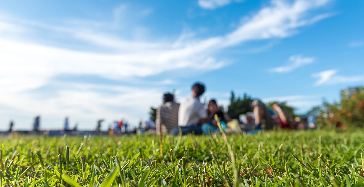 People having fun on a picnic on the grass with bright blue sky. 