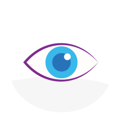 See, view , watch, vision, pupil, cornea, eyesight